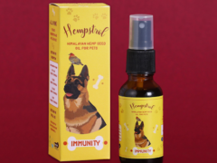 Hemp Seed Oil for Dogs: How Do You Determine the Right Dosage for Different Health Needs?