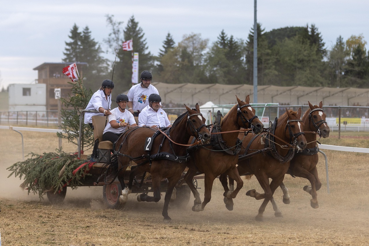 Horse race, chariot races, four-in-hand — Essential Insights on Finding the Right Asset Protection Attorney for Your Needs
