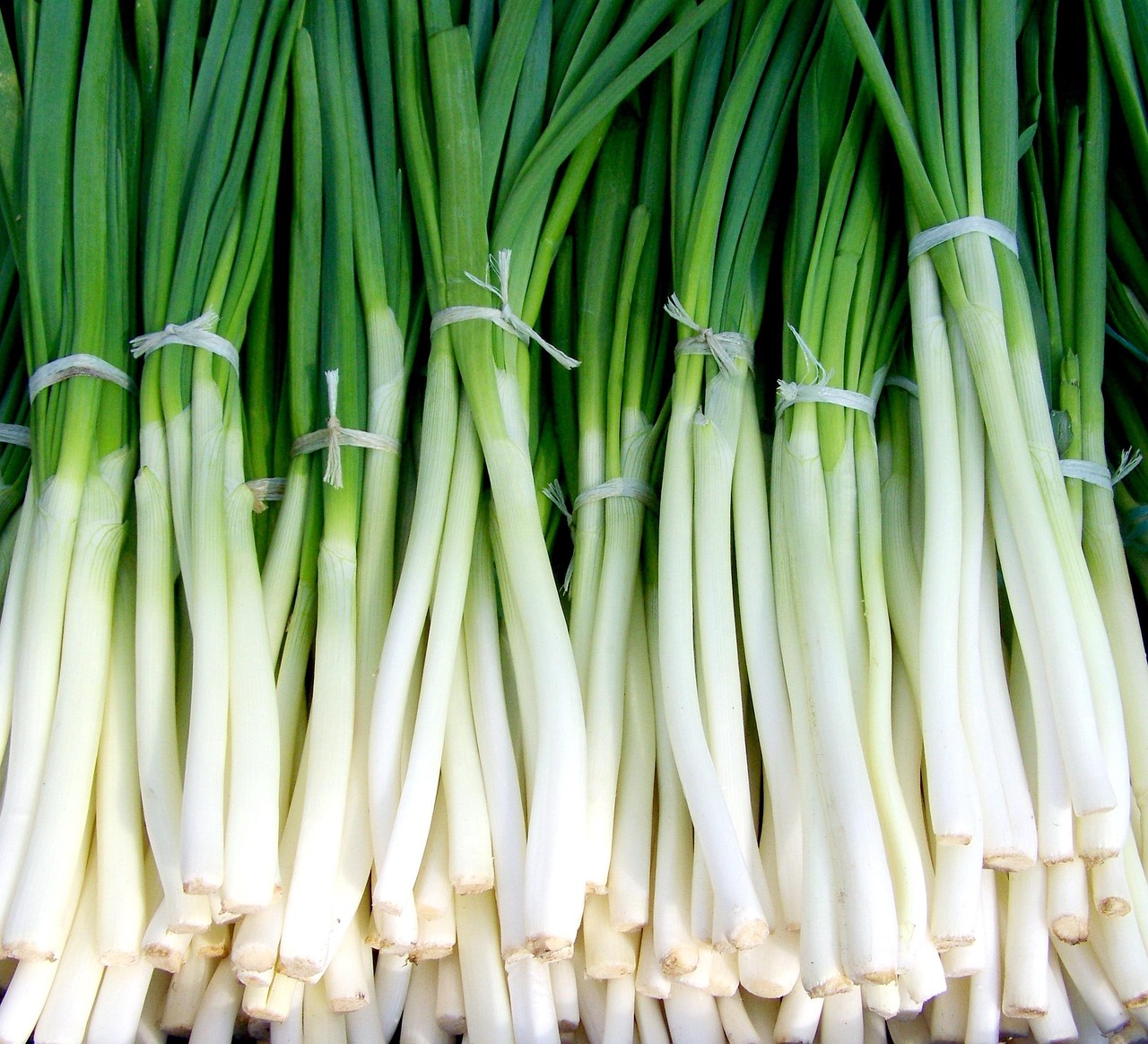 Green onions, new onion, vegetables — Vavada sisselogimise ja konto seadistamise juhend